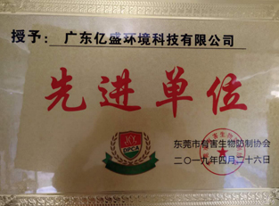先进单位