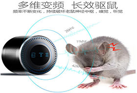 鼠类防治方案